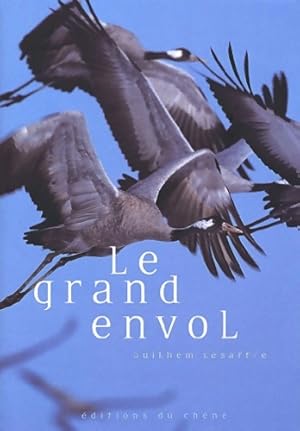 Le grand envol - Guilhem Lesaffre