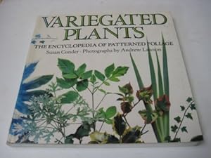 Imagen del vendedor de Variegated Plants: The Encyclopedia of Patterned Foliage a la venta por WeBuyBooks