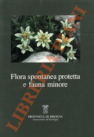 Flora spontanea protetta e fauna minore.