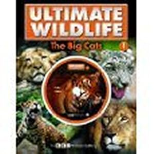 Seller image for Ultimate Wildlife - The Big Cats (with DVD featuring footage from BBC Motion Gallery) for sale by WeBuyBooks