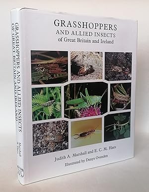Immagine del venditore per Grasshoppers and Allied Insects of Great Britain and Ireland venduto da Priorsford Books