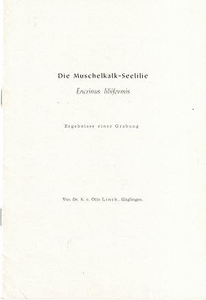 Image du vendeur pour Die Muschelkalk-Seelilie. Encrinus liliiformis. Ergebnisse einer Grabung (bei Neckarwestheim) mis en vente par Paderbuch e.Kfm. Inh. Ralf R. Eichmann