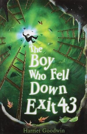 Seller image for The Boy Who Fell Down Exit 43 for sale by WeBuyBooks