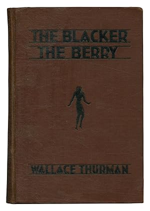 The Blacker the Berry: A Novel of Negro Life