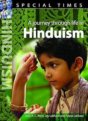 Bild des Verkufers fr Hinduism (Special Times) zum Verkauf von WeBuyBooks