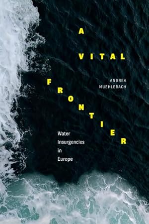 Immagine del venditore per Vital Frontier : Water Insurgencies in Europe venduto da GreatBookPrices