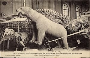 Bild des Verkufers fr Ansichtskarte / Postkarte Monaco, Oceanographie zoologique, Eisbr, Dinosaurier, Skelett zum Verkauf von akpool GmbH