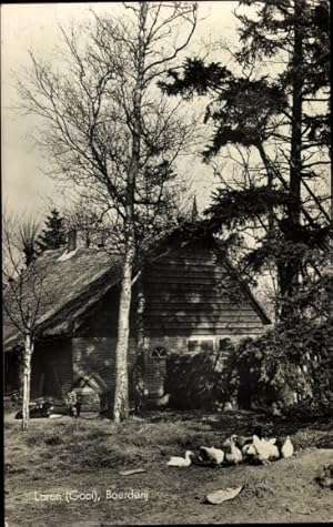 Bild des Verkufers fr Ansichtskarte / Postkarte Laren Nordholland Niederlande, Boerderij, Geflgel zum Verkauf von akpool GmbH