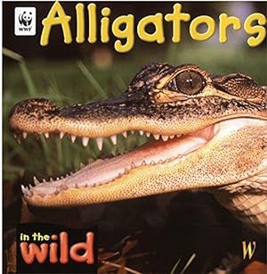 Bild des Verkufers fr In The Wild: Alligators zum Verkauf von WeBuyBooks
