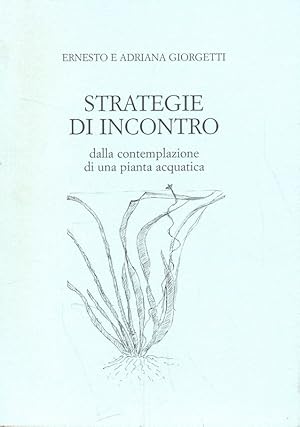 Strategie di incontro