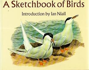 Imagen del vendedor de A Sketchbook of Birds a la venta por PEMBERLEY NATURAL HISTORY BOOKS BA, ABA