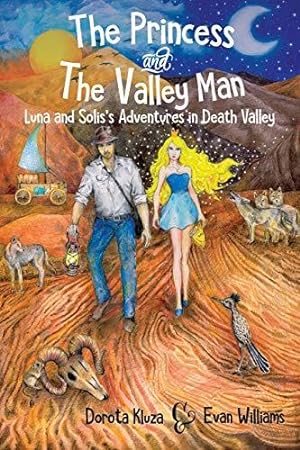 Bild des Verkufers fr The Princess And The Valley Man zum Verkauf von WeBuyBooks