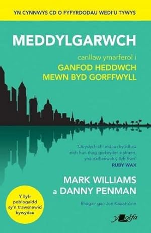 Immagine del venditore per Darllen yn Well: Meddylgarwch venduto da WeBuyBooks