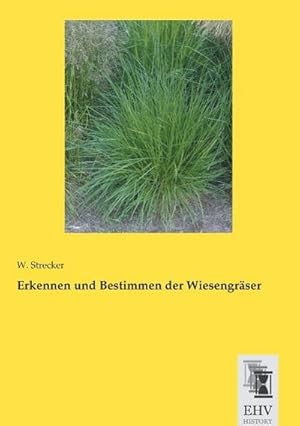 Bild des Verkufers fr Erkennen und Bestimmen der Wiesengrser zum Verkauf von Rheinberg-Buch Andreas Meier eK