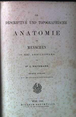 Die descriptive und topographische Anatomie des Menschen.