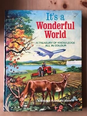 Seller image for IT'S A WONDERFUL WORLD for sale by Happyfish Books