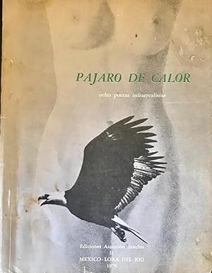 Pájaro de calor. Ocho poetas infrarrealistas