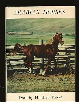 Arabian Horses (Only Non-Library Copy)