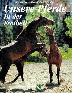 Unsere Pferde in der Freiheit.