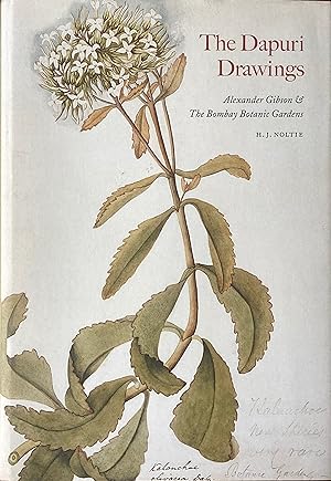 Imagen del vendedor de The Dapuri drawings: Alexander Gibson of the Bombay Botanic Garden a la venta por Acanthophyllum Books