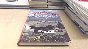 Seller image for Austrian Travel Wonderland (Continental Railway Handbook) for sale by WeBuyBooks