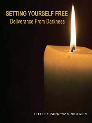 Imagen del vendedor de Setting Yourself Free, Deliverance from Darkness (Paperback or Softback) a la venta por BargainBookStores