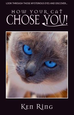Immagine del venditore per How Your Cat Chose You (Paperback or Softback) venduto da BargainBookStores