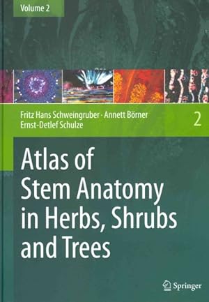Immagine del venditore per Atlas of Stem Anatomy in Herbs, Shrubs and Trees venduto da GreatBookPrices