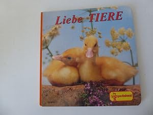 Bild des Verkufers fr Liebe Tiere. Kleinkind-Bilderbuch. Hartpappe zum Verkauf von Deichkieker Bcherkiste