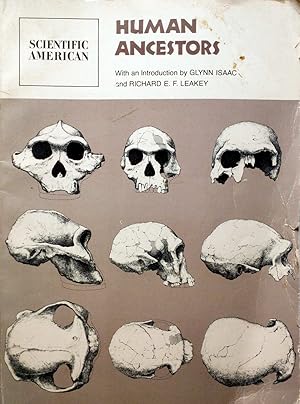 Imagen del vendedor de Human Ancestors: Readings from Scientific American a la venta por Kayleighbug Books, IOBA