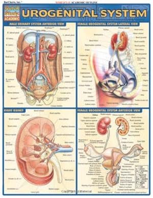 Bild des Verkufers fr Urogenital System (Quick Study Academic) zum Verkauf von WeBuyBooks