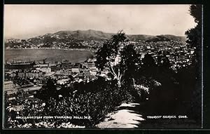 Bild des Verkufers fr Ansichtskarte Wellington, View from Tinakori Hill zum Verkauf von Bartko-Reher
