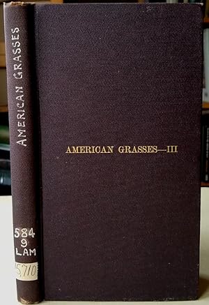 American grasses - III