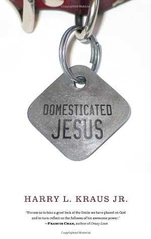 Seller image for Domesticated Jesus for sale by Neverland Books