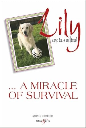Seller image for Lily : A Miracle of Survival for sale by GreatBookPricesUK
