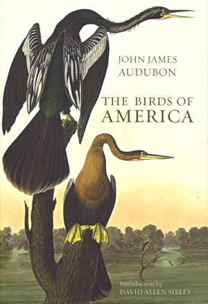 Immagine del venditore per Birds of America venduto da GreatBookPricesUK