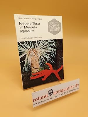 Seller image for Niedere Tiere im Meeresaquarium ; 120 wirbellose Tiere in Farbe for sale by Roland Antiquariat UG haftungsbeschrnkt
