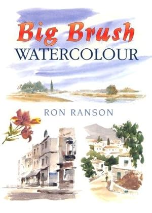 Bild des Verkufers fr Big Brush Watercolour (David & Charles Techniques in Watercolour) zum Verkauf von WeBuyBooks