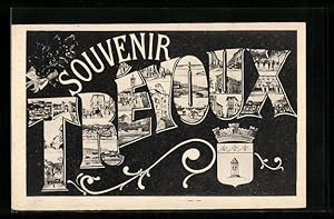 Carte postale Trévoux, vues du lieu avec armoiries
