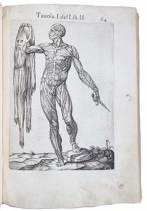 Bild des Verkufers fr Anatomia del corpo umano. zum Verkauf von Sokol Books Ltd. ABA ILAB