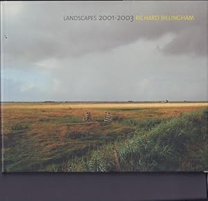 Landscapes 2001-2003. Essay by Sacha Craddock.