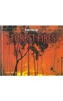 Image du vendeur pour Forest Fires (Natural Disasters) mis en vente par Reliant Bookstore