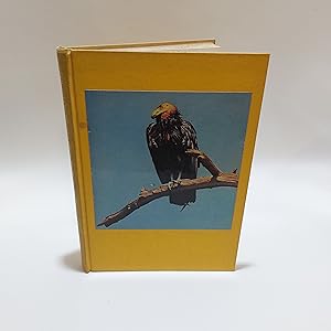 Seller image for The California Condor for sale by Cambridge Rare Books