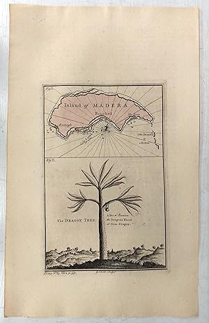 Seller image for Island of Madera; The Dragon Tree for sale by Attic Books (ABAC, ILAB)