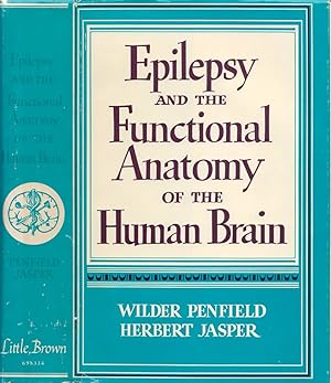 Epilepsy and the Functional Anatomy of the Human Brain