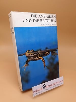 Imagen del vendedor de Die Amphibien und die Reptilien a la venta por Roland Antiquariat UG haftungsbeschrnkt