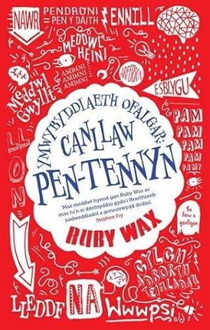 Bild des Verkufers fr Darllen yn Well: Ymwybyddiaeth Ofalgar - Canllaw Pen-Tennyn zum Verkauf von WeBuyBooks