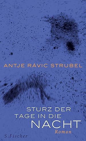 Seller image for Sturz der Tage in die Nacht : for sale by Versand-Antiquariat Konrad von Agris e.K.