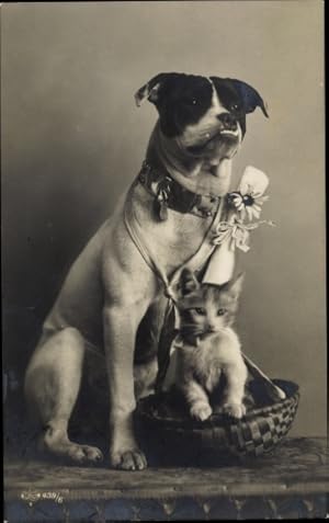 Bild des Verkufers fr Ansichtskarte / Postkarte Tierportrait, Hund und kleine Katze in einem Korb zum Verkauf von akpool GmbH