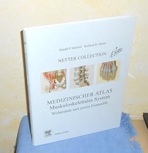Immagine del venditore per Netter Collection : Medizinischer Atlas : Muskuloskelettales System, Wirbelsule und untere Extremitt venduto da AnimaLeser*Antiquariat